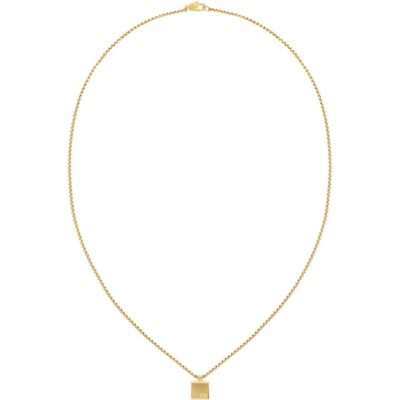 Calvin Klein Men’s Calvin Klein gold plated pendant necklace