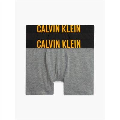 CALVIN KLEIN JEANS CKJ 2PK intense Trnk Jn34